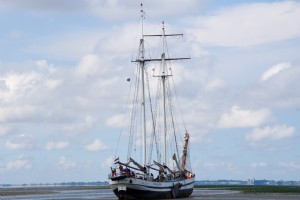 Wildplukzeilreis op de Waddenzee - Vliegende Hollander